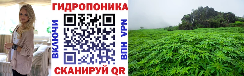 Бошки марихуана OG Kush  Нижний Ломов 